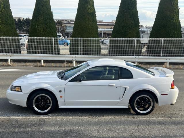 Ford MUSTANG 2004-05 7803912-13