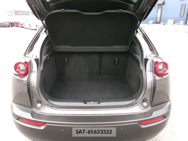 Mazda MX-30 2020-09 7800535-18