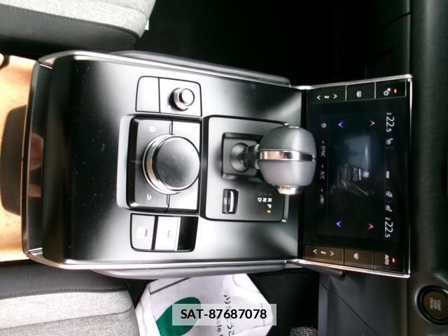 Mazda MX-30 2021-01 7800539-15