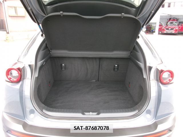 Mazda MX-30 2021-01 7800539-18