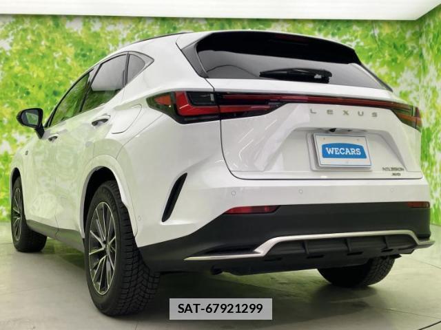 Lexus NX 2023-05 7793020-2