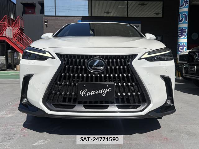 Lexus NX 2024-03 7793057-1