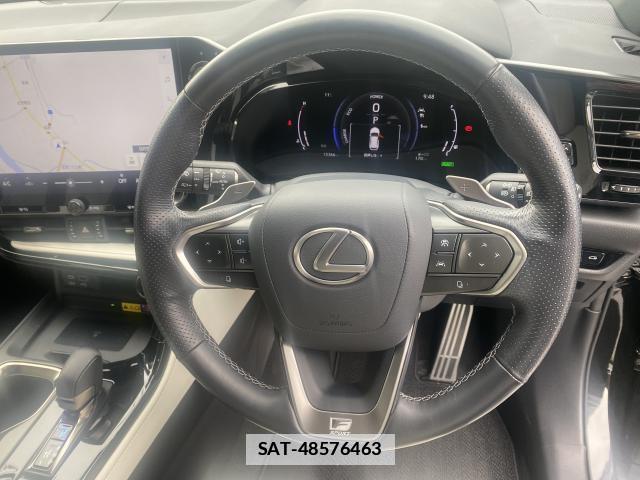Lexus NX 2022-02 7793061-15