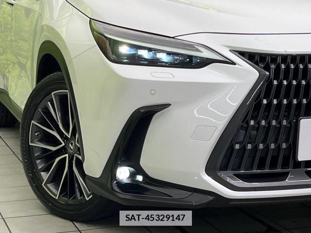 Lexus NX 2021-11 7793310-11