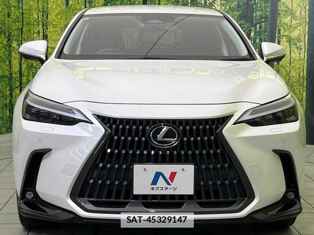 Lexus NX 2021-11 7793310-13