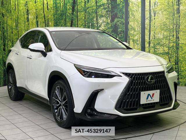 Lexus NX 2021-11 7793310-15
