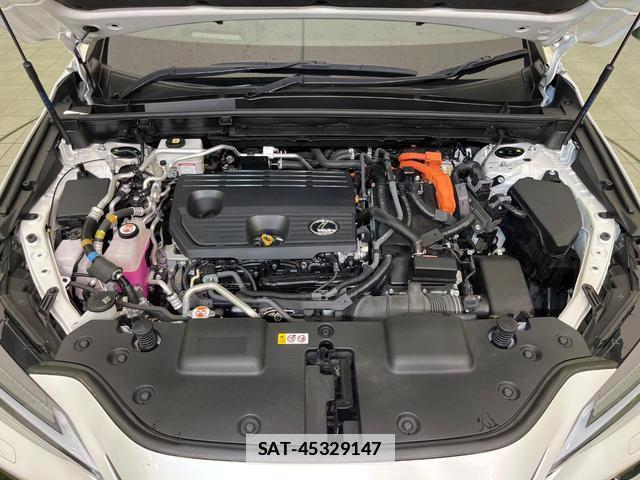 Lexus NX 2021-11 7793310-17