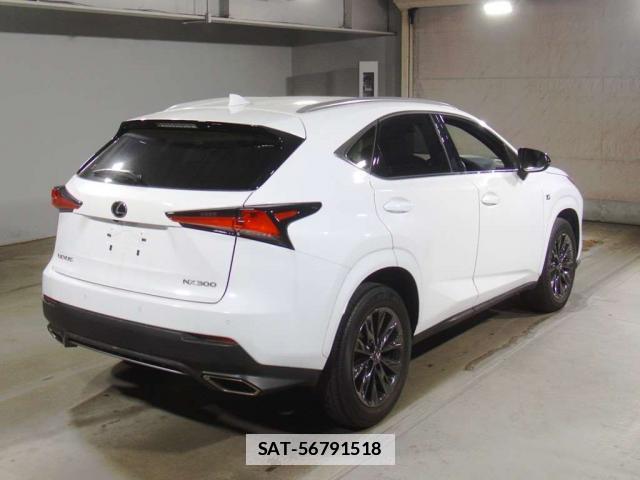Lexus NX 2021-02 7794053-1