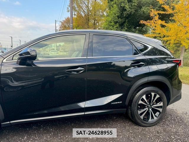 Lexus NX 2019-03 7794341-12