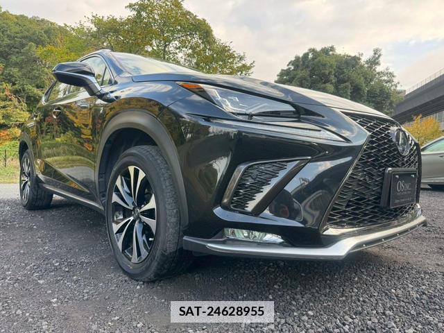 Lexus NX 2019-03 7794341-14