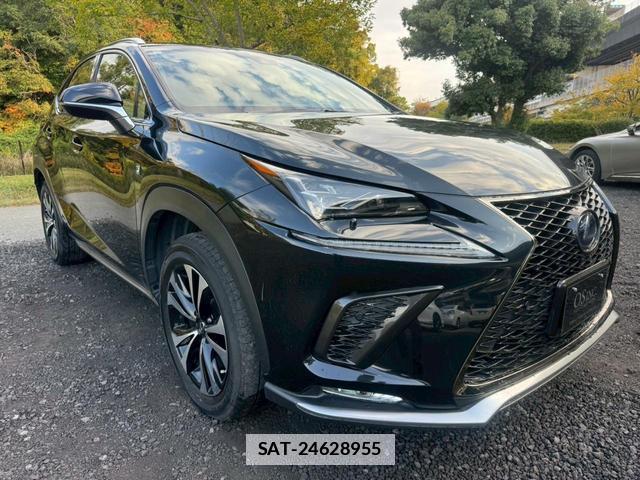 Lexus NX 2019-03 7794341-15