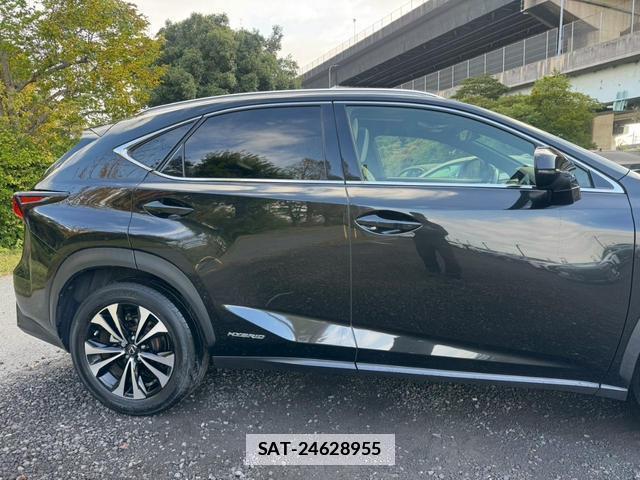 Lexus NX 2019-03 7794341-2