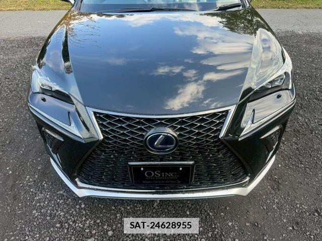 Lexus NX 2019-03 7794341-4