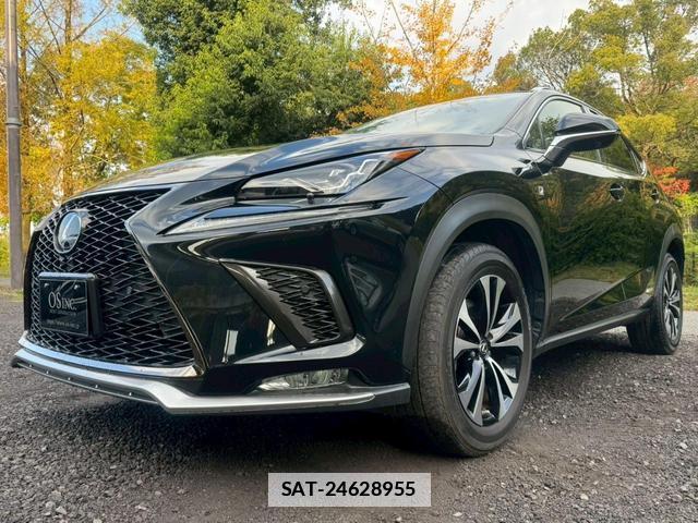 Lexus NX 2019-03 7794341-8