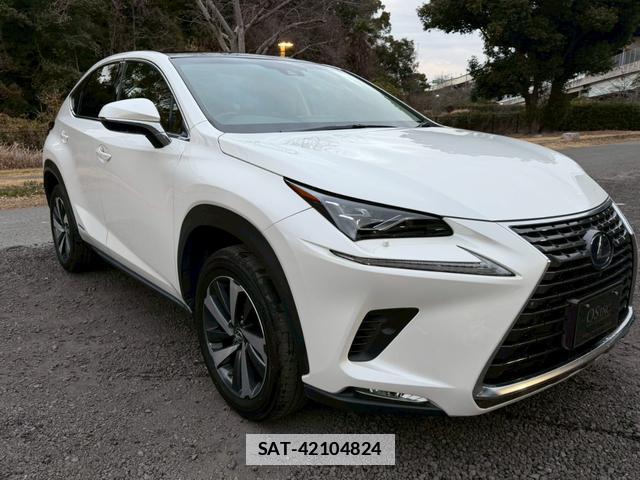 Lexus NX 2019-02 7794366-0