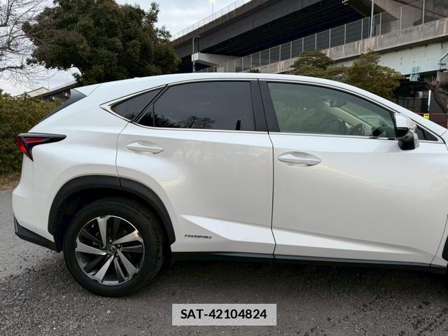 Lexus NX 2019-02 7794366-1
