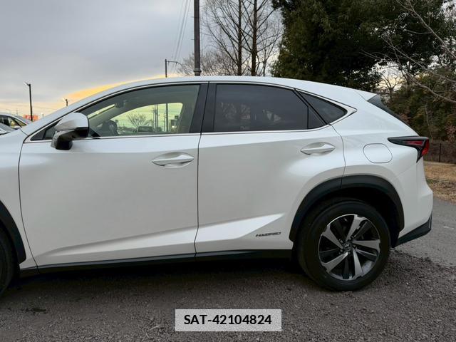 Lexus NX 2019-02 7794366-10