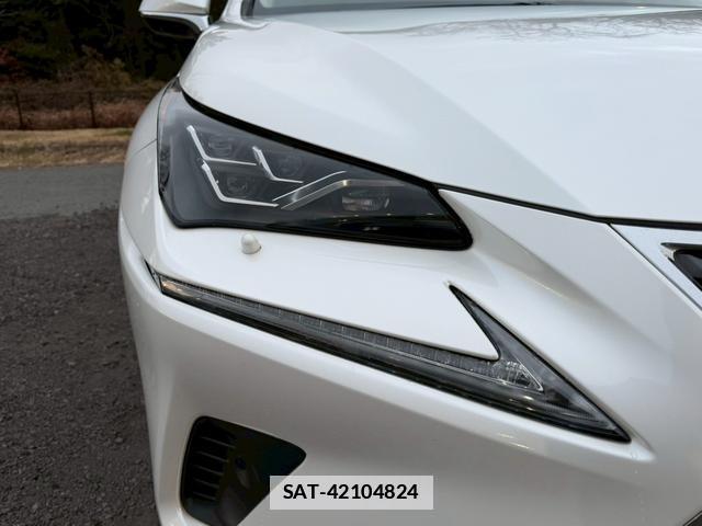 Lexus NX 2019-02 7794366-11