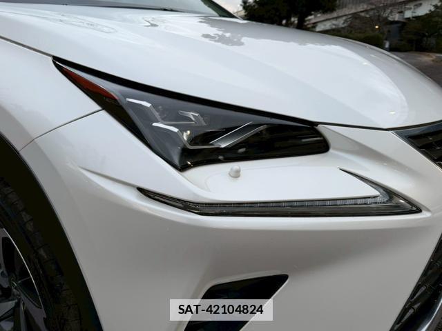 Lexus NX 2019-02 7794366-12