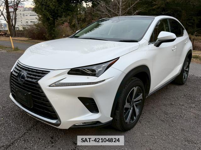 Lexus NX 2019-02 7794366-13
