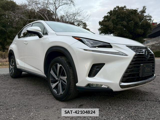 Lexus NX 2019-02 7794366-15
