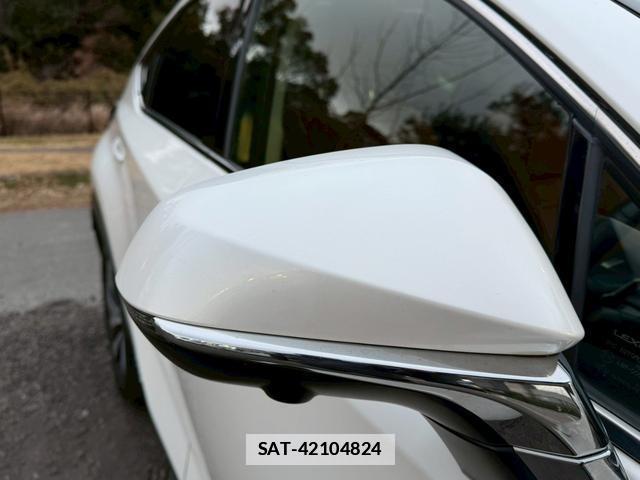 Lexus NX 2019-02 7794366-16