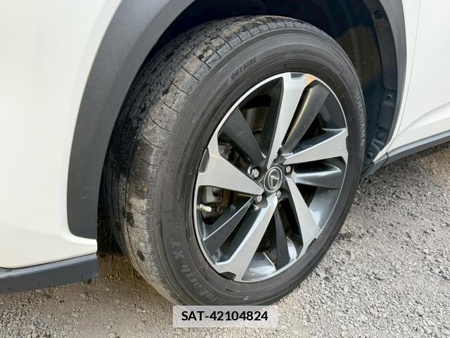 Lexus NX 2019-02 7794366-2