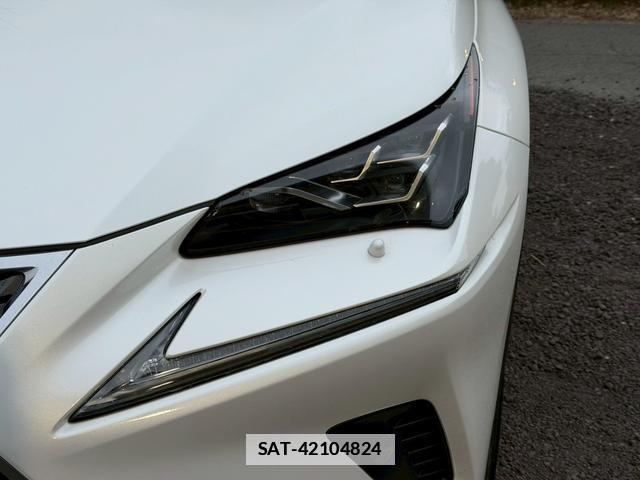 Lexus NX 2019-02 7794366-3