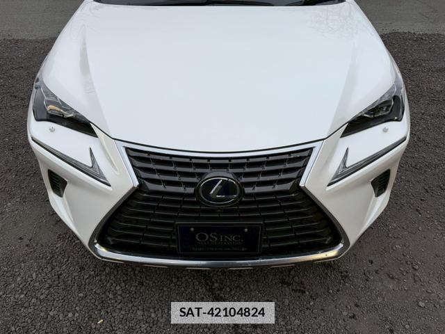 Lexus NX 2019-02 7794366-5