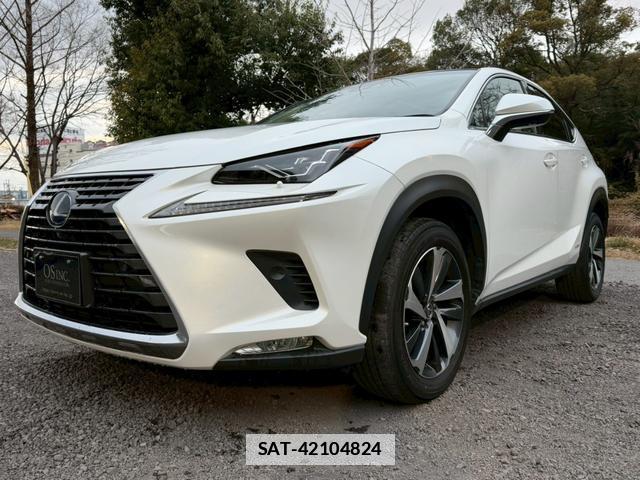 Lexus NX 2019-02 7794366-6