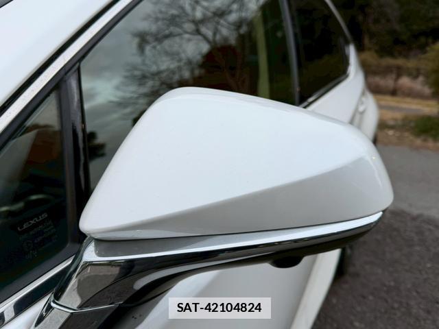 Lexus NX 2019-02 7794366-7