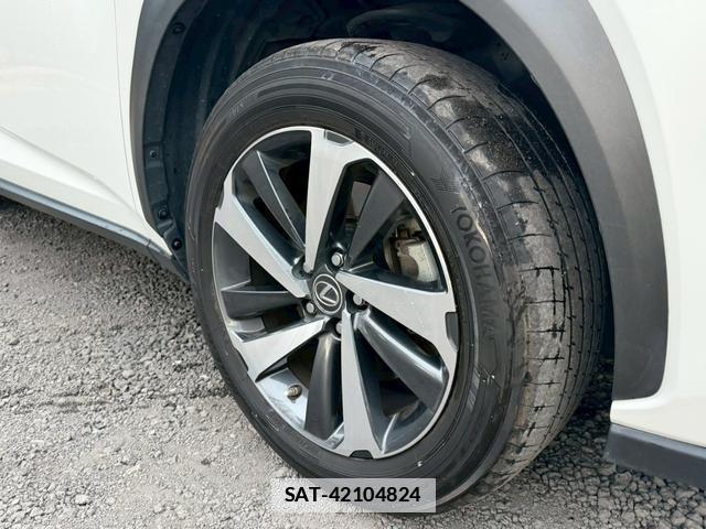 Lexus NX 2019-02 7794366-8