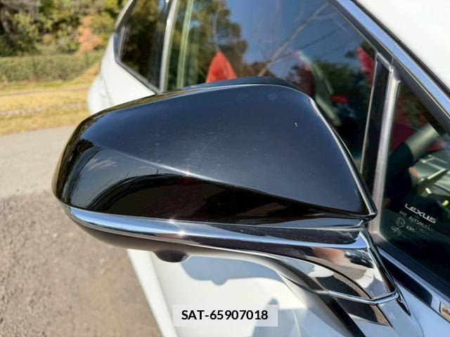 Lexus NX 2018-05 7794379-15