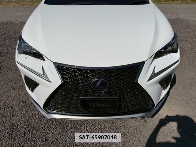 Lexus NX 2018-05 7794379-17