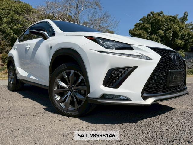 Lexus NX 2019-09 7794380-14