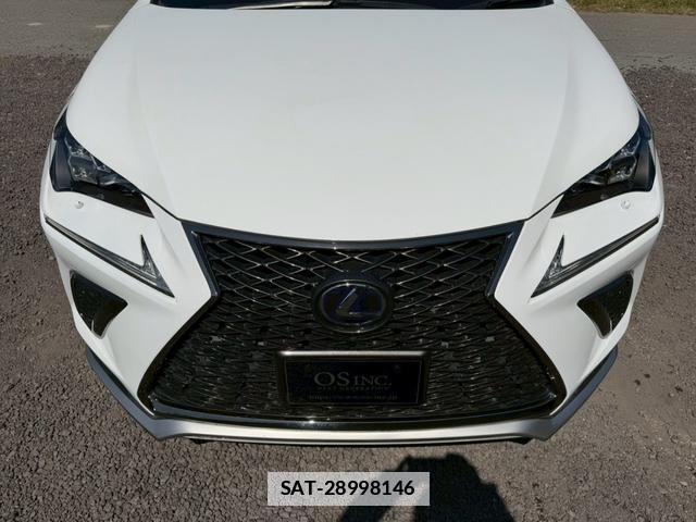 Lexus NX 2019-09 7794380-2