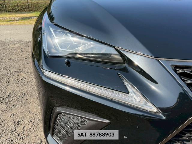 Lexus NX 2018-01 7794391-13