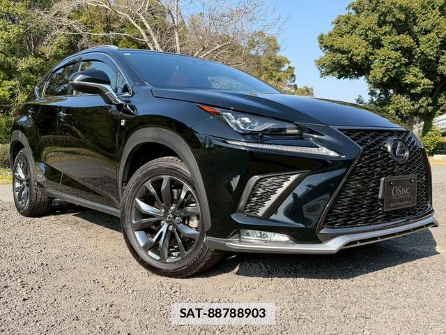 Lexus NX 2018-01 7794391-15