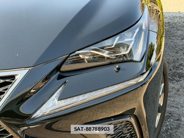 Lexus NX 2018-01 7794391-3
