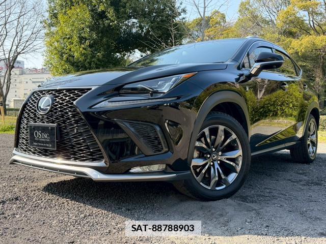 Lexus NX 2018-01 7794391-8