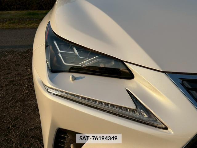 Lexus NX 2019-03 7794392-10