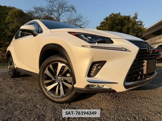 Lexus NX 2019-03 7794392-12