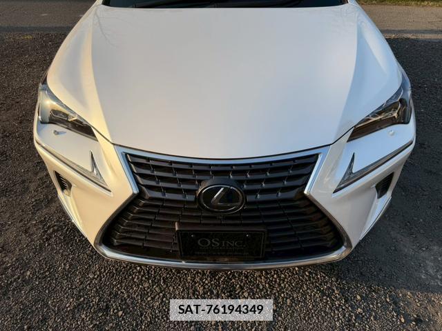 Lexus NX 2019-03 7794392-13