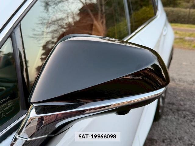 Lexus NX 2019-02 7794393-7