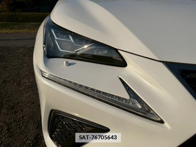 Lexus NX 2018-03 7794394-13