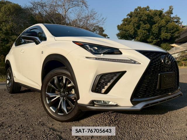 Lexus NX 2018-03 7794394-15