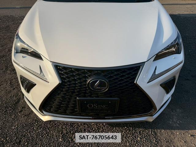 Lexus NX 2018-03 7794394-16