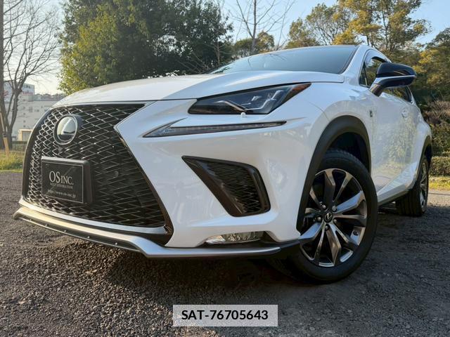 Lexus NX 2018-03 7794394-6