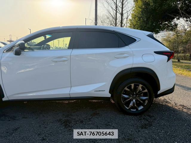 Lexus NX 2018-03 7794394-7