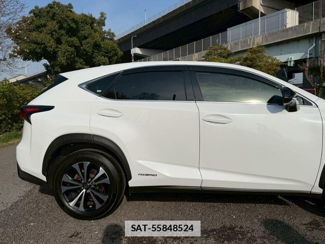 Lexus NX 2018-04 7794396-1